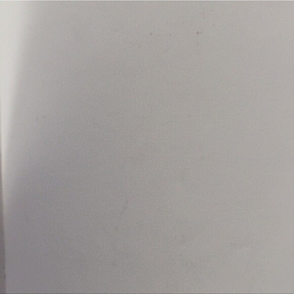 Tampa Bay Rays Magnets - Picture 12 of 14